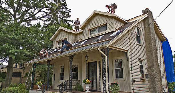 Best New Roof Installation  in USA